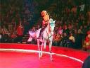 4-й цирковой фестиваль в Саратове